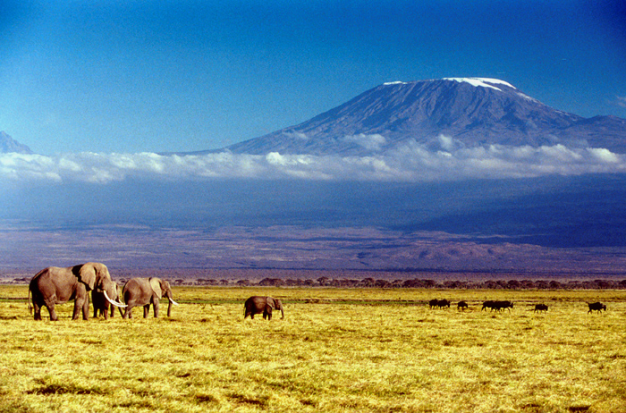 Kilimanjaro