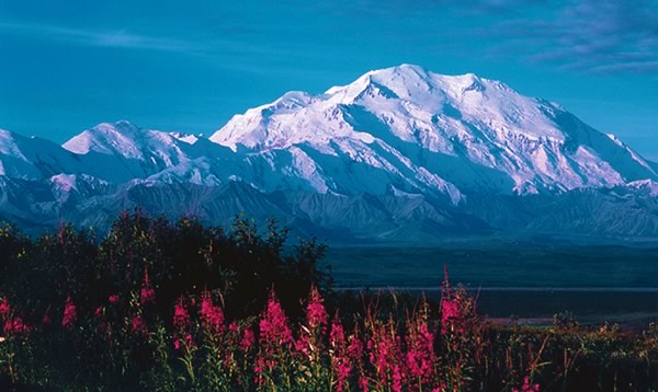 mount mckinley 